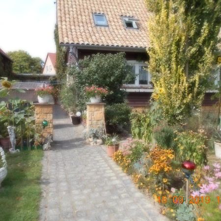 Vermiete Sehr Schoenes Apartment In Dankerode Im Harz Exteriör bild