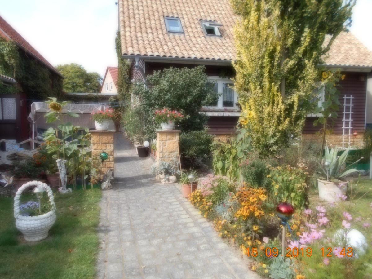 Vermiete Sehr Schoenes Apartment In Dankerode Im Harz Exteriör bild