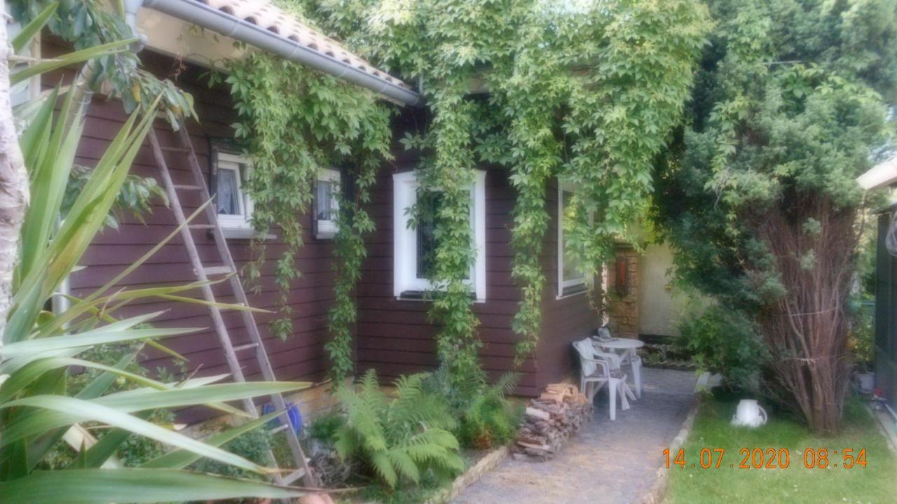 Vermiete Sehr Schoenes Apartment In Dankerode Im Harz Exteriör bild