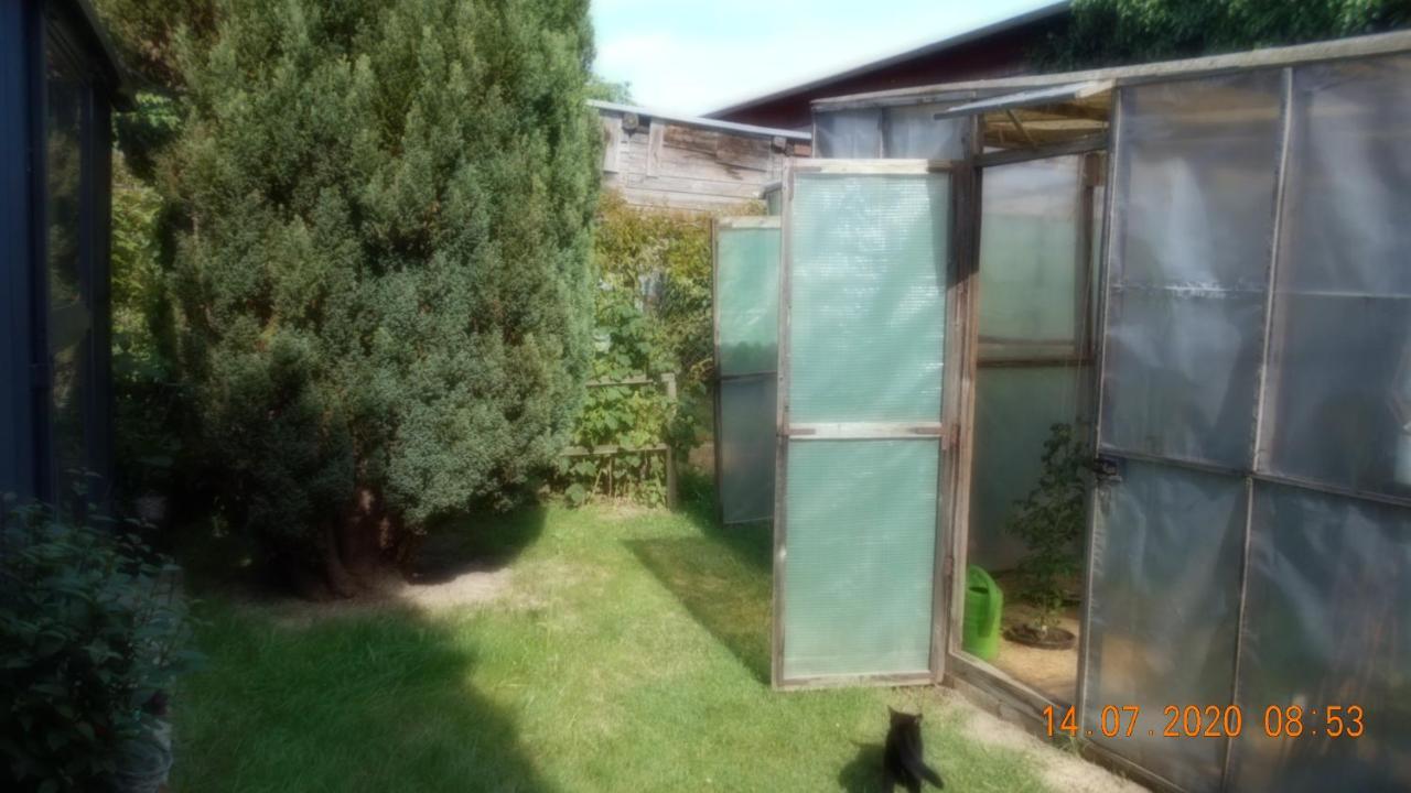 Vermiete Sehr Schoenes Apartment In Dankerode Im Harz Exteriör bild