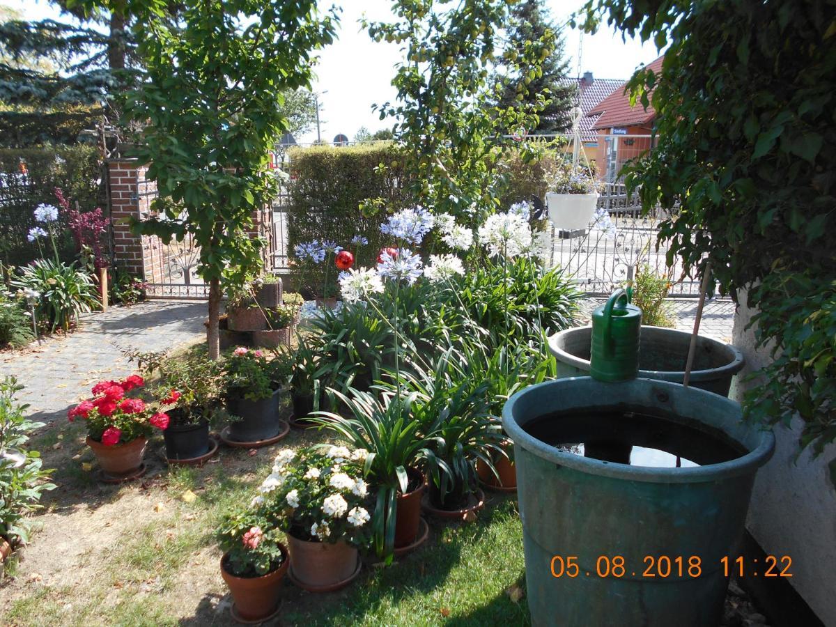 Vermiete Sehr Schoenes Apartment In Dankerode Im Harz Exteriör bild